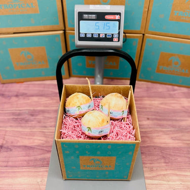 Ready to Drink Young Coconuts Tropical Fruit Box